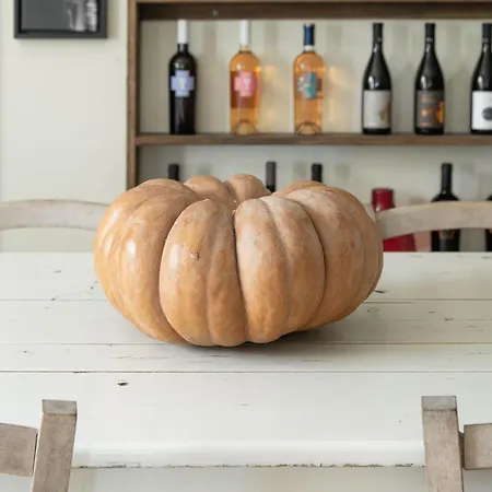 Farm stay L'aia Di San Giorgio Ortelle