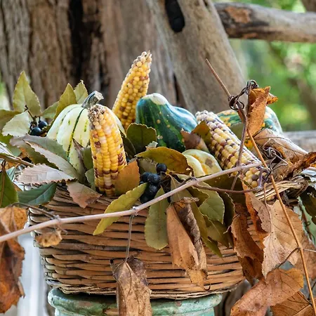 L'aia Di San Giorgio Farm stay *