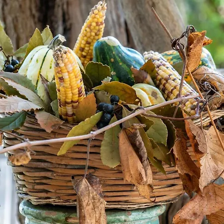 L'aia Di San Giorgio Farm stay *