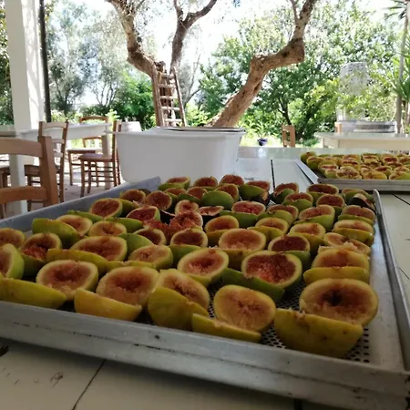 L'aia Di San Giorgio *